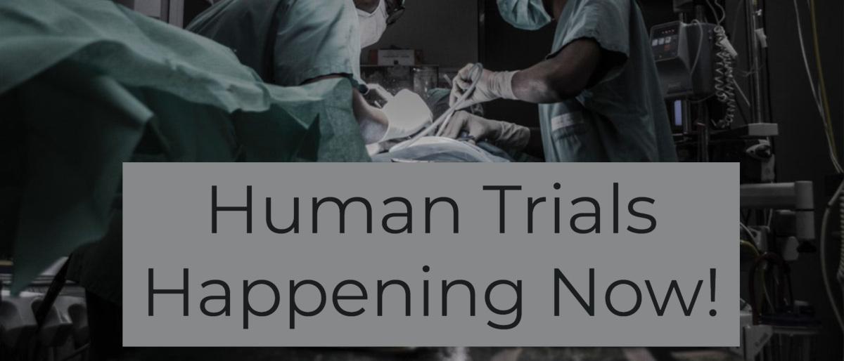 Human Trials Start Now!